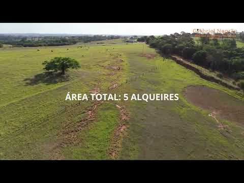 Encante-se: Sítio de 5 Alqueires à Venda em Caiabu! — vídeo
