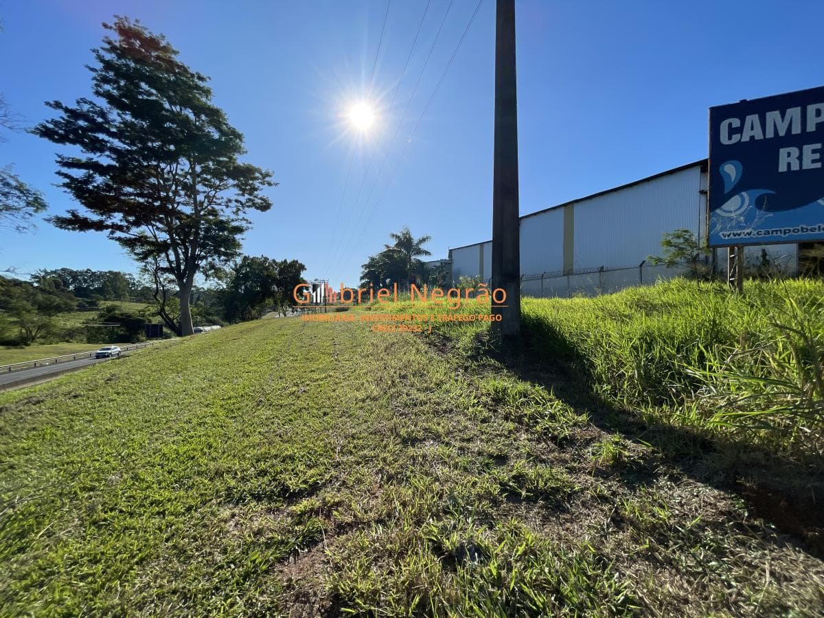 Terreno Comercial de 6.000 m² à Venda em Álvares Machado! — foto 4