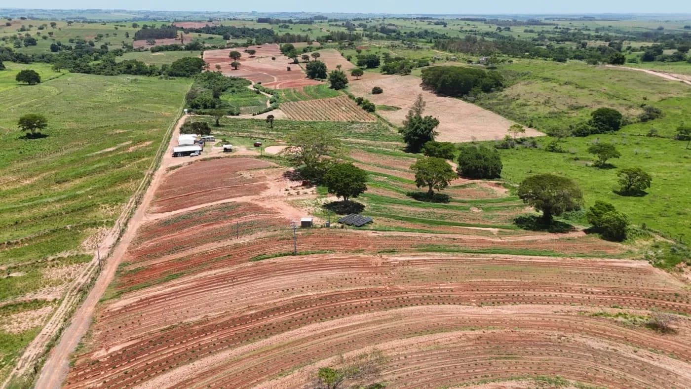 Locação Imperdível: Sítio Moderno para Produção Agrícola!