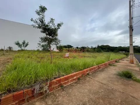 Terreno Ideal em Presidente Prudente - Oportunidade Imperdível!